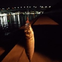 仕事終わりに‼️