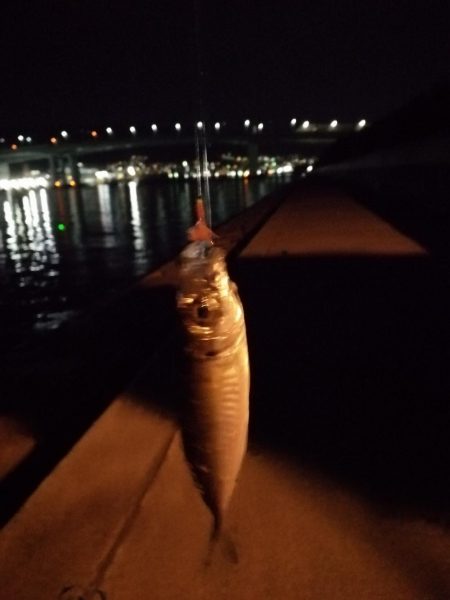 仕事終わりに‼️