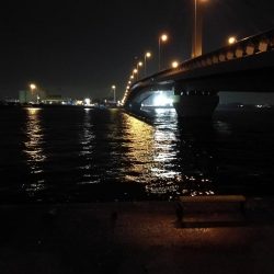 南港へち釣行 （12/22 久々の南港ヘチ釣り キビレチヌ 48cm、大型ハゼ 釣果有り）