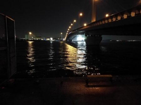 南港へち釣行 （12/22 久々の南港ヘチ釣り キビレチヌ 48cm、大型ハゼ 釣果有り）