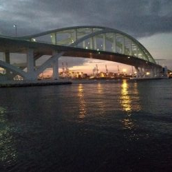 タチウオまだ居ます