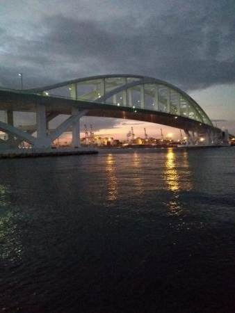 タチウオまだ居ます