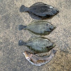 嵐の中での根性の釣り