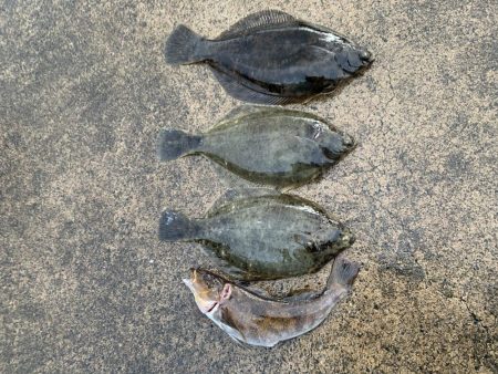 嵐の中での根性の釣り