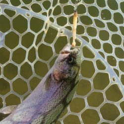 東山湖忘年釣行