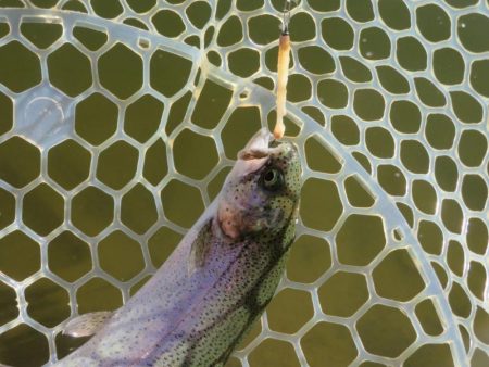 東山湖忘年釣行