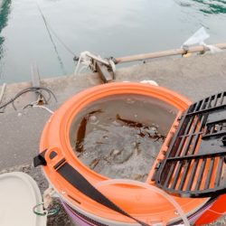 最後の最後に1/20、ちっちゃいけど一夜干しに!