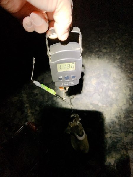 １７時から２時までの９時間、たった２回のアタリ。せめてもの慰めはキロ超級！