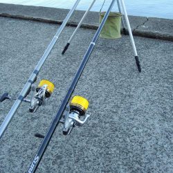 初冬のキス釣り