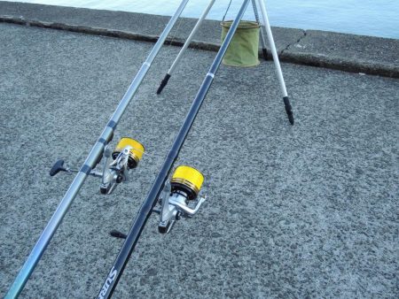 初冬のキス釣り