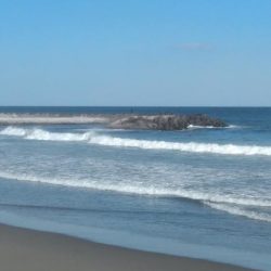 ワラサがガツン！