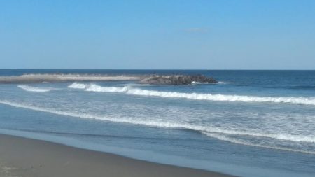 ワラサがガツン！