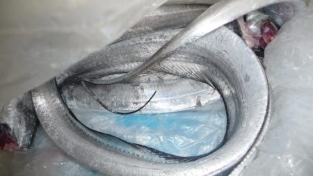 激渋でもメーター超