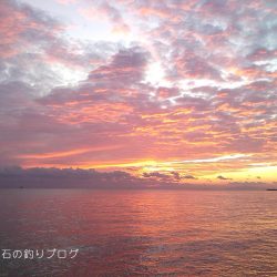 40cm大サバに、チヌ&グレ!