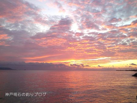 40cm大サバに、チヌ&グレ!