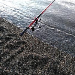 当たりは　多いですが、小型ばかりでした！！