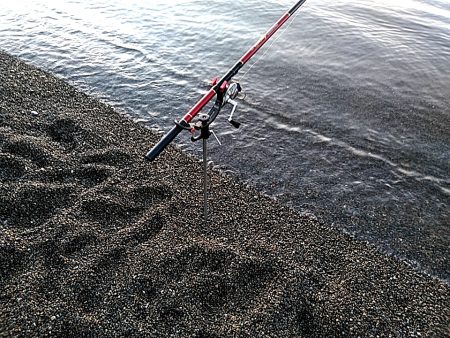 当たりは　多いですが、小型ばかりでした！！