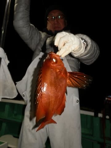 第二むつ漁丸 釣果
