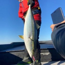 シーマジカル 釣果