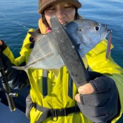 シーマジカル 釣果