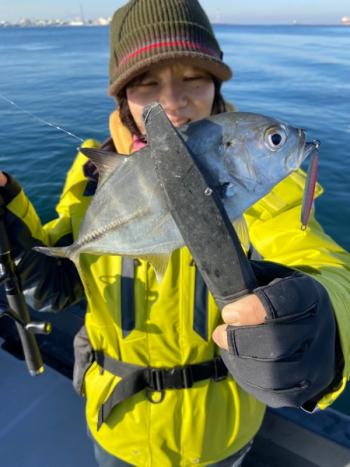 シーマジカル 釣果