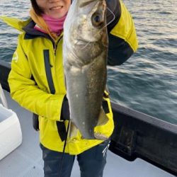 シーマジカル 釣果