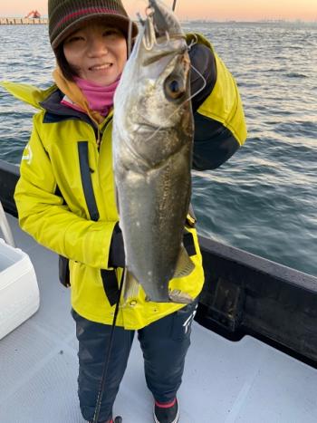 シーマジカル 釣果