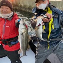 シーマジカル 釣果