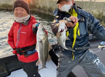 シーマジカル 釣果