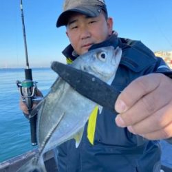 シーマジカル 釣果