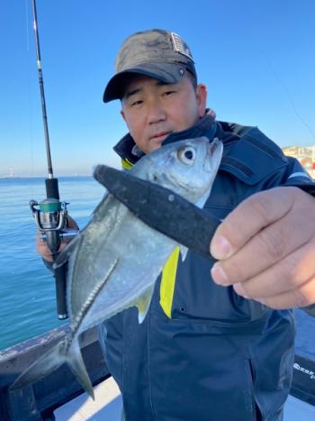 シーマジカル 釣果