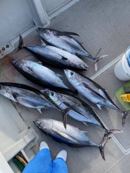 へいみつ丸 釣果