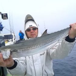 さわ浦丸 釣果