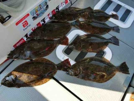 遊漁船 セトマリン 釣果