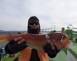 久里浜黒川本家 釣果