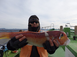 久里浜黒川本家 釣果