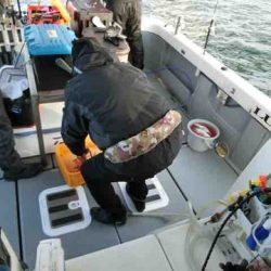 遊漁船 セトマリン 釣果