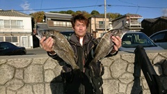 まこと渡船 釣果