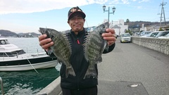 まこと渡船 釣果