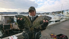 まこと渡船 釣果