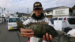 まこと渡船 釣果