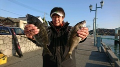 まこと渡船 釣果