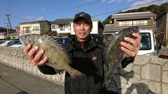 まこと渡船 釣果