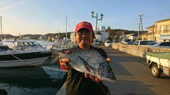 まこと渡船 釣果