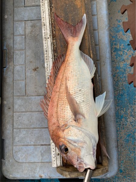 幸吉丸 釣果