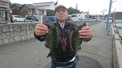 まこと渡船 釣果