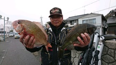 まこと渡船 釣果