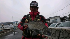 まこと渡船 釣果