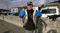 まこと渡船 釣果