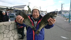 まこと渡船 釣果